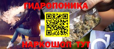 ECSTASY Кингисепп