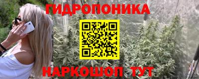 ECSTASY Кингисепп