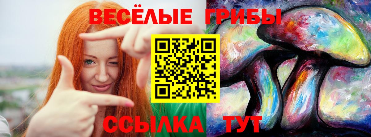 Королёв  Псилоцибиновые грибы GOLDEN TEACHER  Вход с VPN  Галлюциногенные грибы ЛСД 