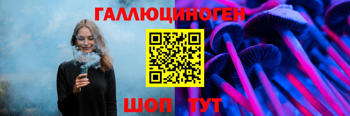 Галлюциногенные грибы Psilocybine cubensis Королёв